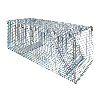 Live Animal Cage Trap 51''x17.4'' x18.9'' Humane Cat Trap Cats Squirrels Mouse New