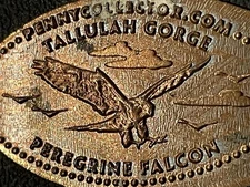 Peregrine Falcon Tallulah Gorge Zc Elongated Penny #082419