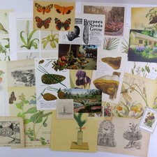 30-pc Vintage Garden Ephemera flowers butterf...