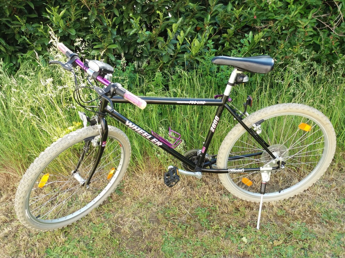 Wheeler Fahrrad Mountainbike MTB PRO LINE 2800 schwarz pink graue