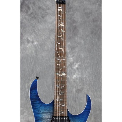 Ibanez j.custom Axe Design Lab RG8870-SDE (Sodalite) | eBay