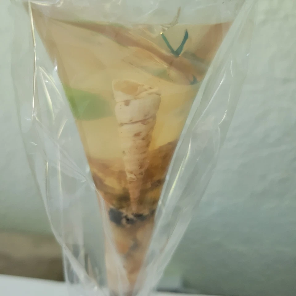 Maidoon Scented Candle Gel Underwater Ocean Beach Cup Party Birthday New - Image 3 of 4