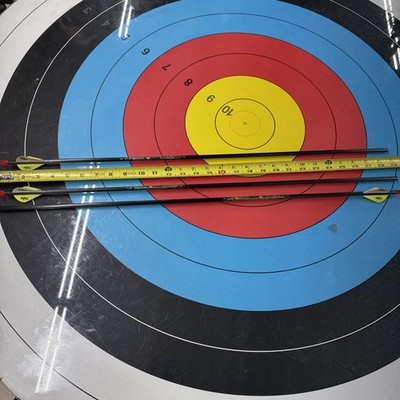 Beman Archery Arrows - Set Of 3 - ICS Hunter - 340 Spine - Item 2385