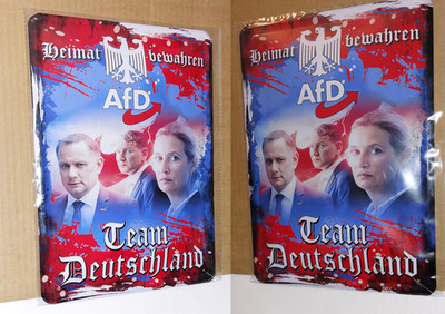 AfD Blechschild ''Heimat bewahren - Team Deutschland'' Rarität Dekoration 20x30cm