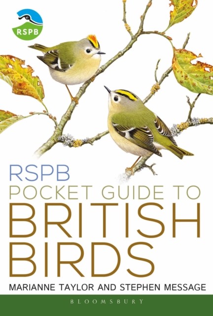 RSPB Pocket Guide to British Birds by Marianne Taylor (Paperback Book)