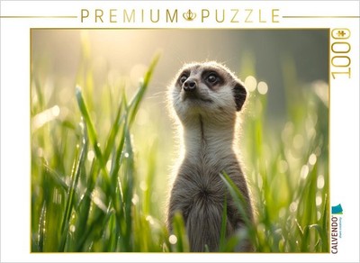 CALVENDO Puzzle Frühling, Ich bin bereit | 1000 Teile Lege-Größe 64x48cm Foto-Pu