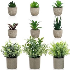 AUUGUU Artificial Potted Plants Faux Greenery in Cement Pots for Shelf, Bookshel