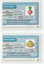 Nintendo E Reader Pokemon Drash And Pumpkin Berry  2x Card Lot