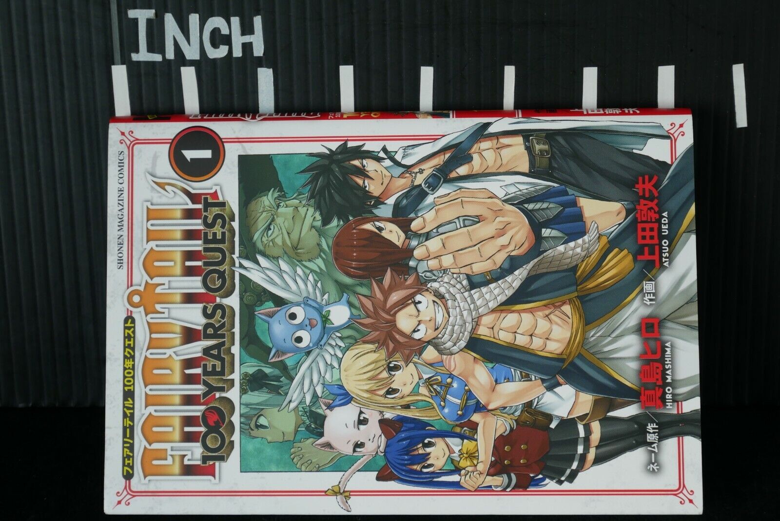 FAIRY TAIL: 100 Years Quest 11: Mashima, Hiro, Ueda, Atsuo