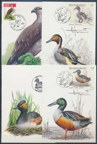 XE60240 Belgium 1989 -2011 ducks animals birds maxicards used