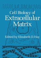 Elizabeth D. Hay | Cell Biology Of Extracellular Matrix | Taschenbuch | Englisch