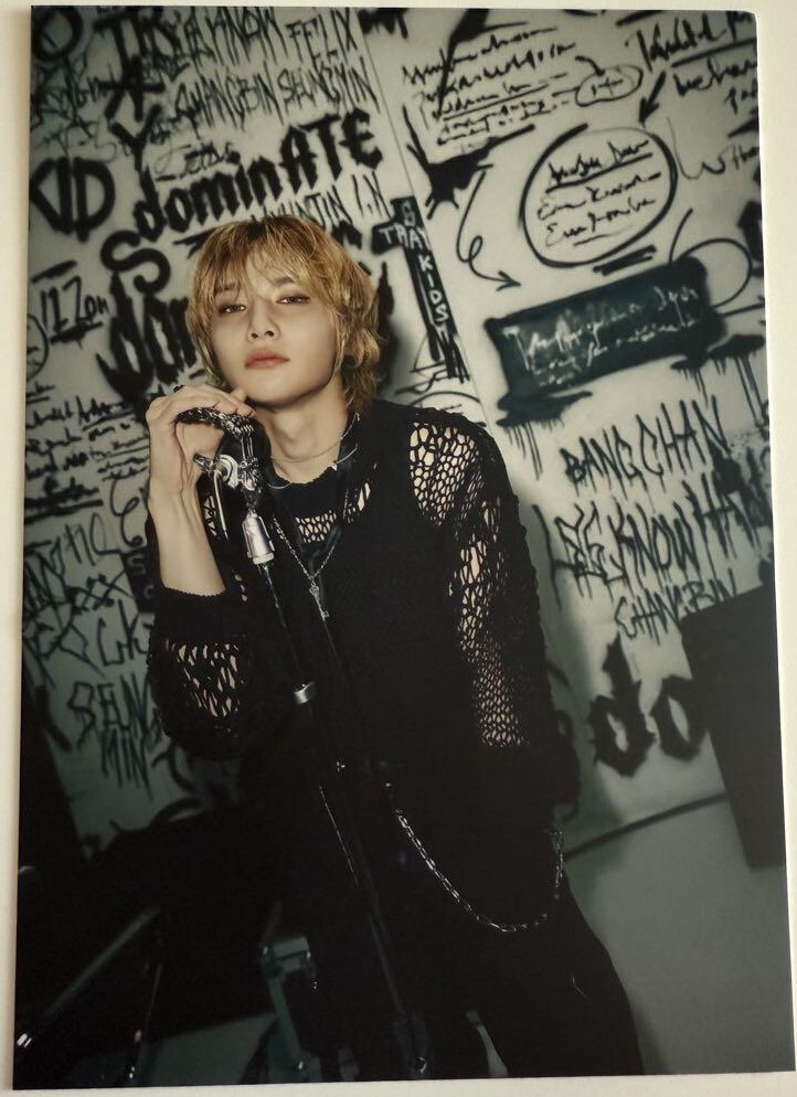 straykids vip オーストラリア シドニー ポストカード Stray Kids domin ATE AUSTRALIA World Tour VIP Official Post