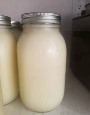 HEARTY HERITAGE Grass Fed Pure Homemade Beef Tallow - skincare & cooking