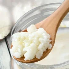 2 Teaspoon of Organic Live Milk Kefir Grains