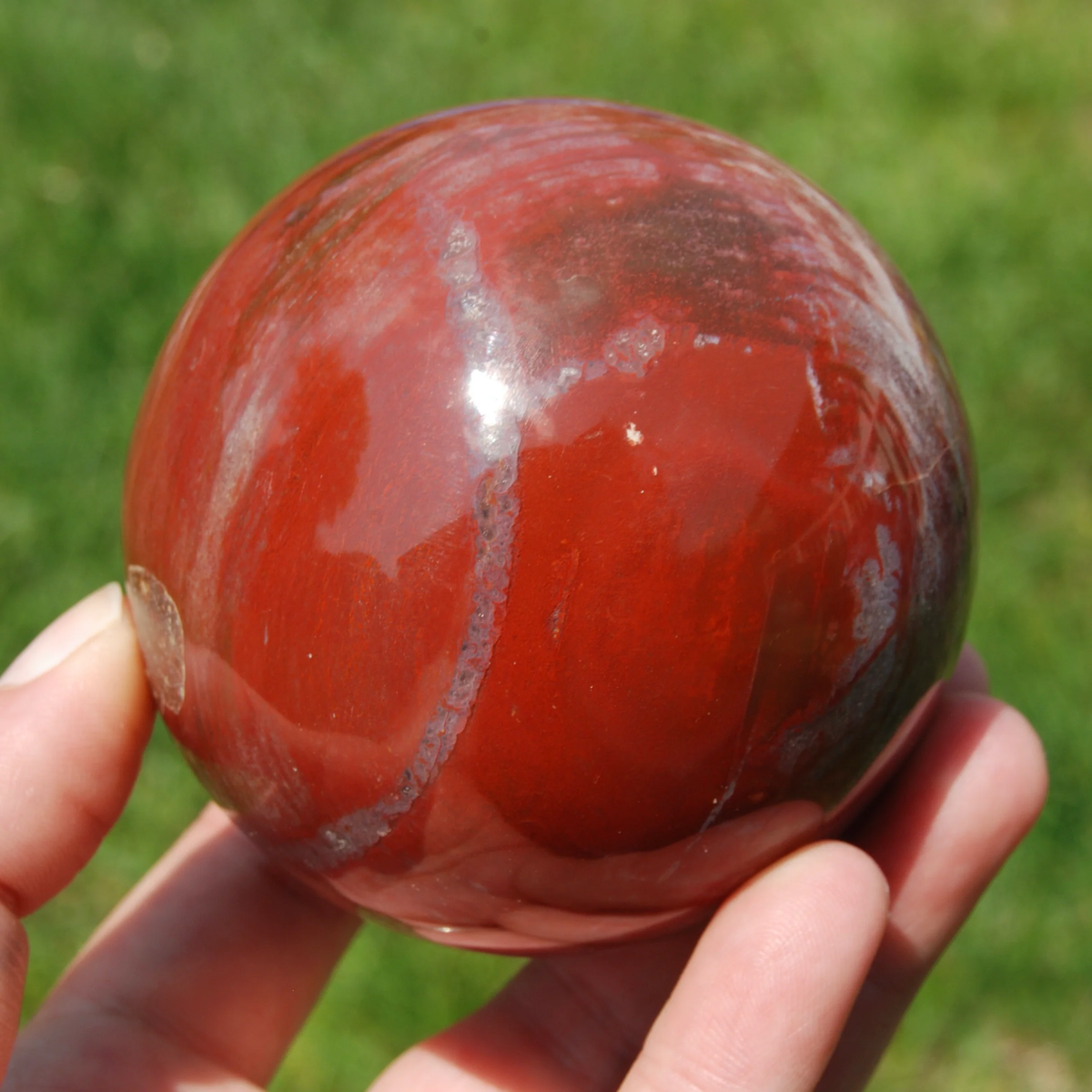 3in 1.3lb XL Colorful Petrified Wood Crystal Sphere, Red Purple