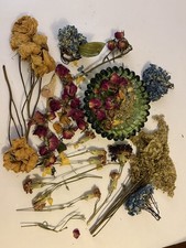 Assorted Dried Flowers, Mixed Color Rose Assorted Flower Stems Petals Hydrangea
