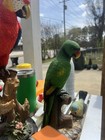 This is a vintage ceramic sand art parrot figurine perched on a branch — photo 6