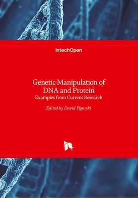 David Figurski | Genetic Manipulation of DNA and Protein | Buch | Englisch