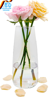 Blumenvase Glas, Ins Moderne Klarglas Vase, 22 Cm Hoch Glasvase FüR Tischdeko, D