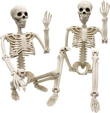 2 Pack 36"Halloween Skeleton - 3 ft Life Size Human with Full White