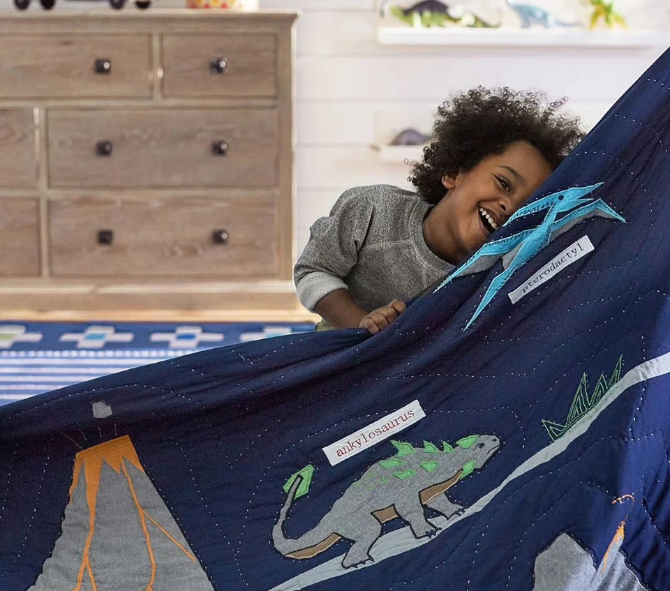 Pottery barn kids Warren Dinosaur Full/Queen Quilt & 3 Pillow Shams - Image 3 of 4