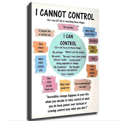 Mental Health Poster What I Can and Cannot Control Print Poster Picture Poster 