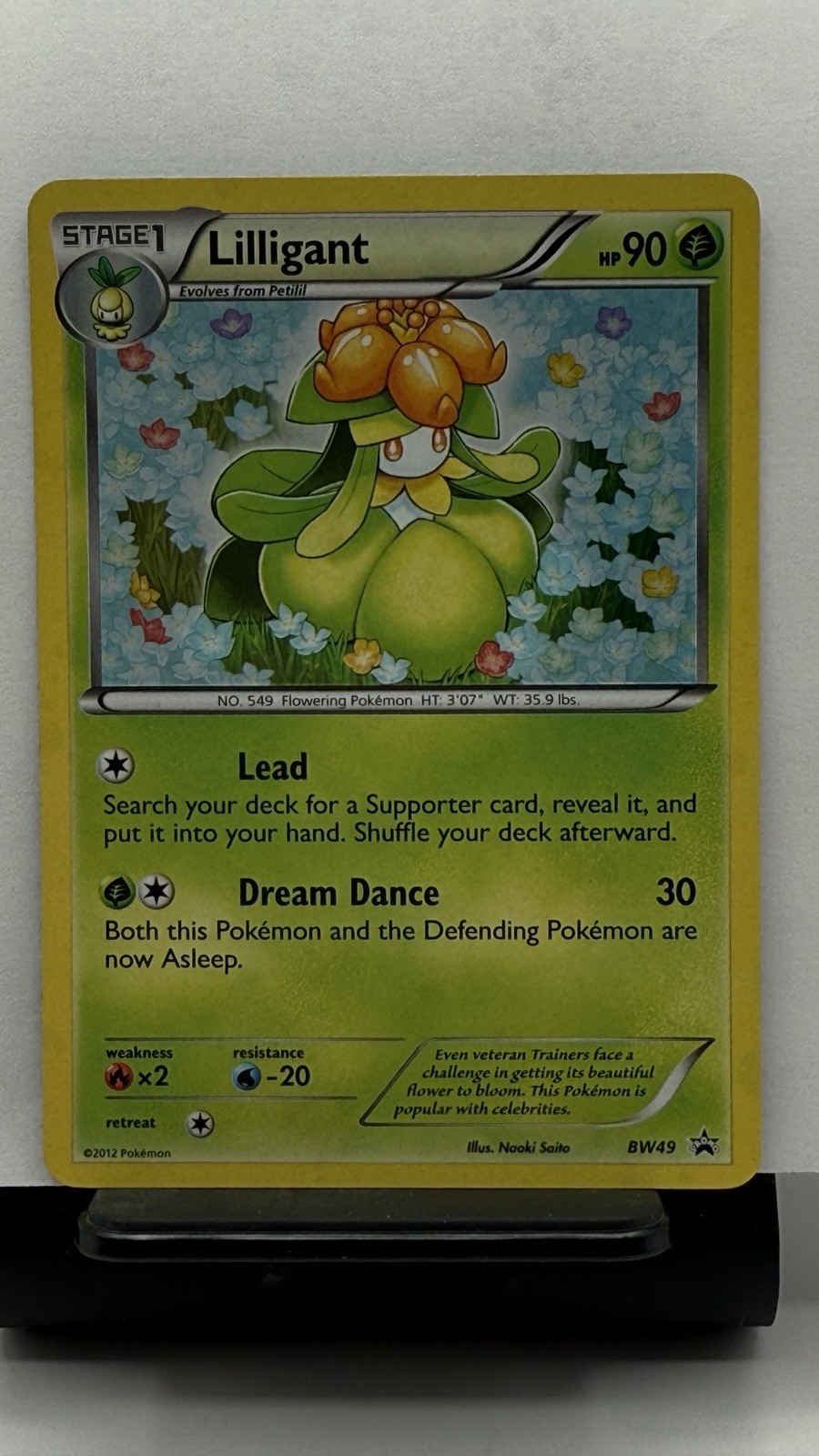 Lilligant Holo BW49 Promo