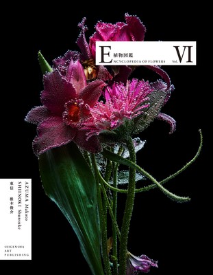 Encyclopedia of Flowers VI Botanical Artbook from Japan