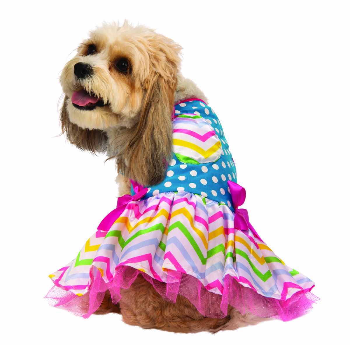 large dog easter costume