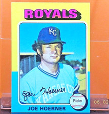 Click to enlarge Joe Hoerner