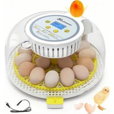 Incubatrice incubatrice incubatrice completamente automatica incubatrice pulcini