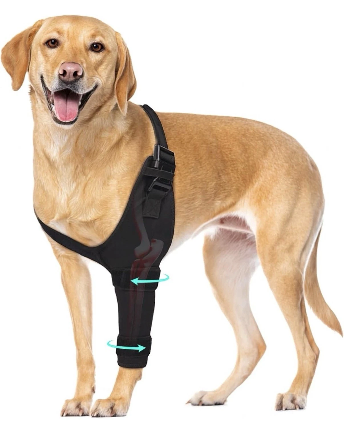 Dog Elbow Protector Brace, Dog Left Leg Sleeves Anti-Licking for Arthritis, Sz L
Opens in a new wind