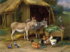 Best Friends Farmyard Hen Rooster Tile Mural Kitchen Backsplash Marble Ceramic