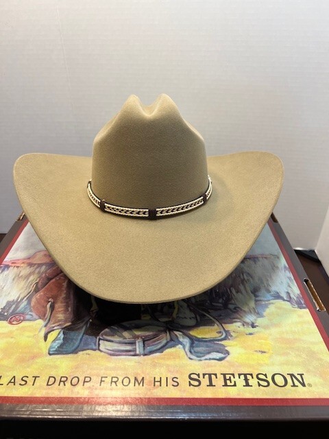 Stetson Cowboy Hat Western Wear 6X Beaver Fur size 6 7/8 - brim 4