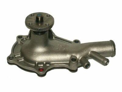 Water Pump For 1968-1974 Dodge D200 Pickup 3.7L 6 Cyl GAS 1969 1970 1971 M914QS