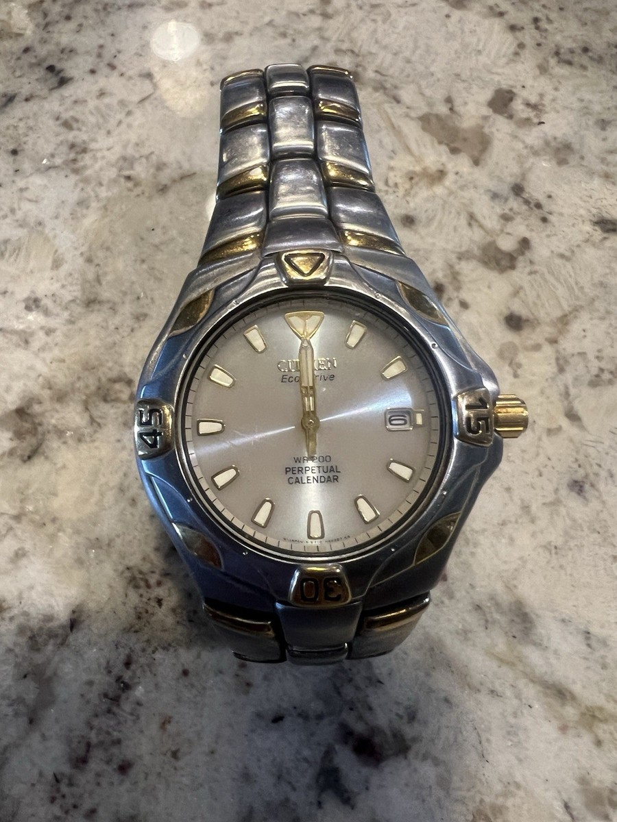 CITIZEN Eco-Drive Perpetual Calendar WR200 Watch | eBay