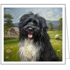 Schapendoes - Dutch Sheepdog Fine Art Notecards - Set of Six - 5¼ x 5¼ Inches