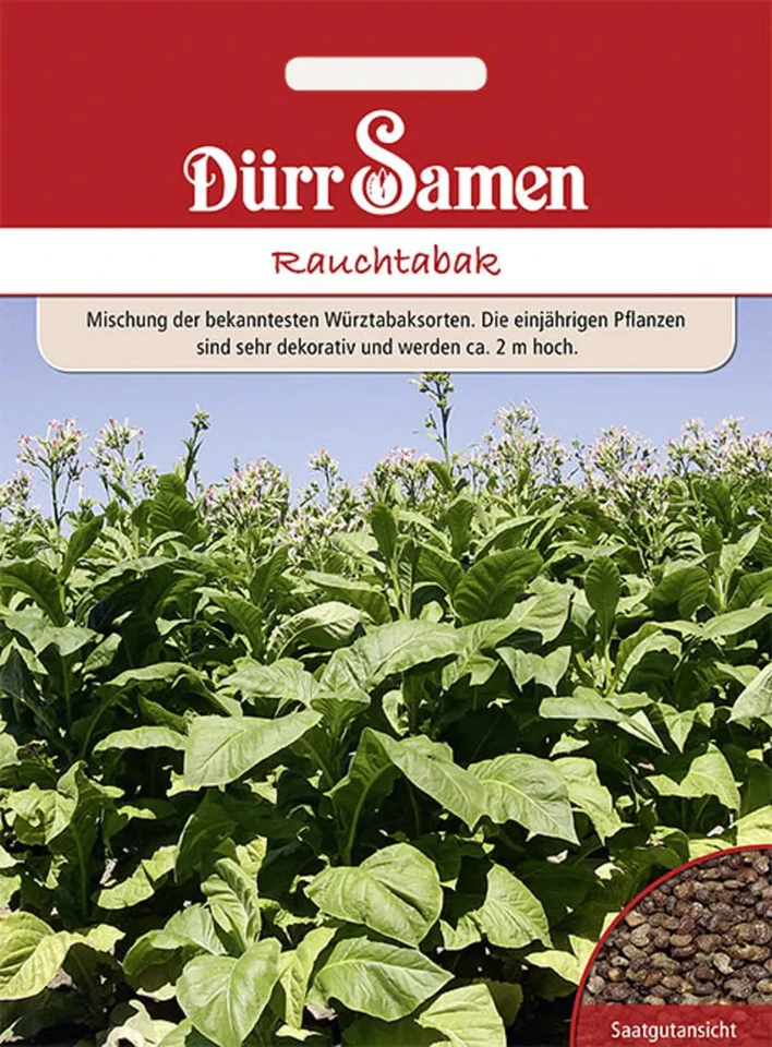 Rauchtabak  Mischung der bekanntesten Würztabaksorten Samen 1034 - Bild 1 von 1