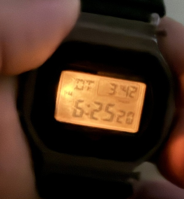 Vintage Casio Rare G SHOCK DW-5700 [691] Module Gold Buttons Japan