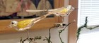 Two yellow-winged Songbirds, on Clips, Spun Glass Tails.  1960s W. German  Orns. — photo 9