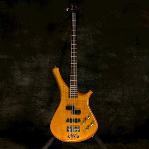 Warwick Fortress Bass | eBay