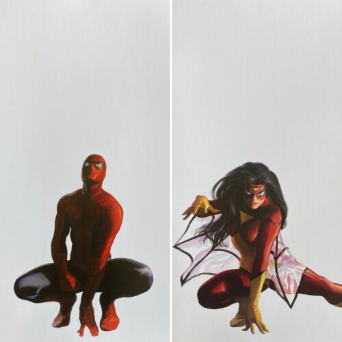 ALEX ROSS rare SPIDER-MAN & SPIDER-WOMAN fine art print SET of 2 PORTRAITS  11x16 | eBay