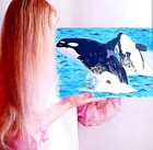 Bild 5 von 5