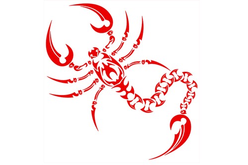 Wüste giftig böse Skorpion Aufkleber Tür Boden Wandtattoo Dekor für Haus & Geschäft - Bild 3 von 26