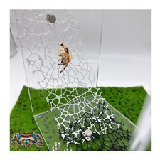 6 PCS Jumping Spider Habitat Accessories-Black  White Black 