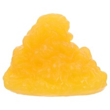 1PC Authentic Human Body Fat Model School Students Authentic Demonstration