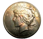 1925 PEACE DOLLAR TONED