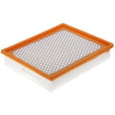 Extra Guard CA11480 Filtro aria motore di ricambio per selezionare Ford e Lincoln...