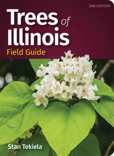 Trees of Illinois Field Guide by Stan Tekiela (Paperback Book)
