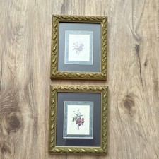 Set of 2 Framed Floral Botanical Art Prints Gold Ornate Portrait Small